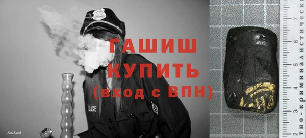хмурый Алексин