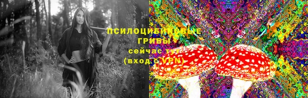 экстази Алексеевка