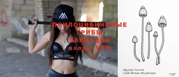 ГАЛЛЮЦИНОГЕННЫЕ ГРИБЫ Алзамай