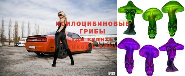 хмурый Алексин