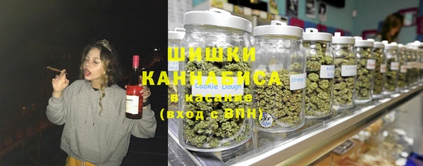 ГАЛЛЮЦИНОГЕННЫЕ ГРИБЫ Алзамай