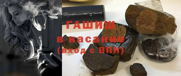 хмурый Алексин