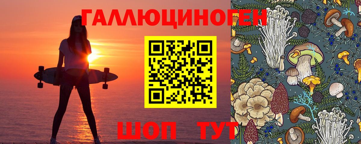 Галлюциногенные грибы мухоморы Кыштым