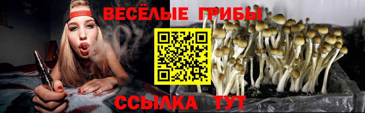 ГАШ  Канабис  Кетамин  ГАШИШ  Вход с VPN  МЕФ   Кыштым  Кокаин 